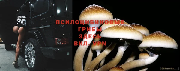 ешки Каменск-Шахтинский