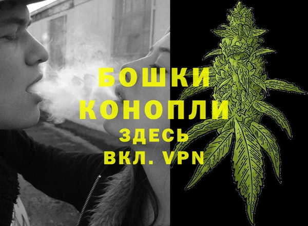соль курить ск Каменногорск