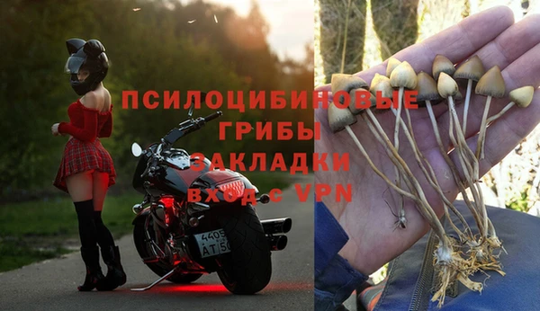 ешки Каменск-Шахтинский