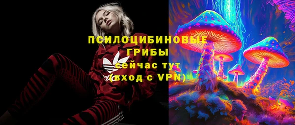 ешки Каменск-Шахтинский