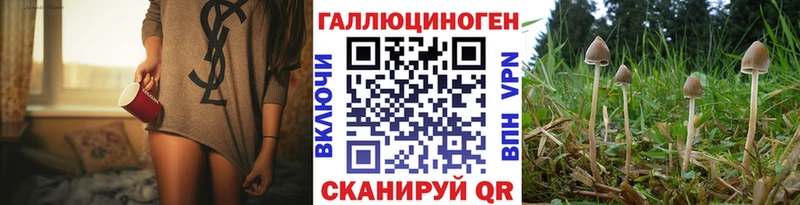 Галлюциногенные грибы MAGIC MUSHROOMS  Купить где  Сковородино 