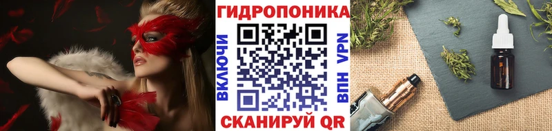 Шишки марихуана марихуана  Купить  Сковородино 